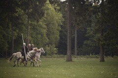projekt eisenwald